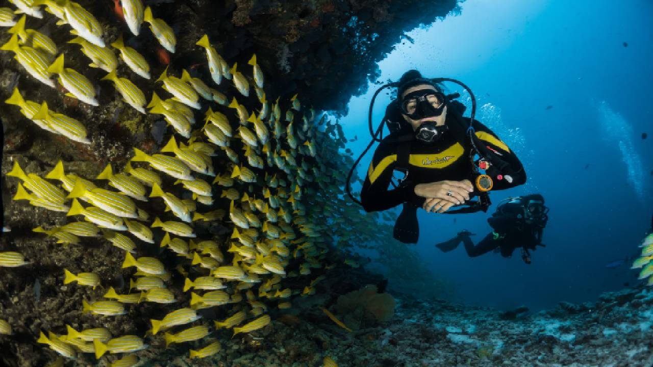 duiken-filipijnen- (24)